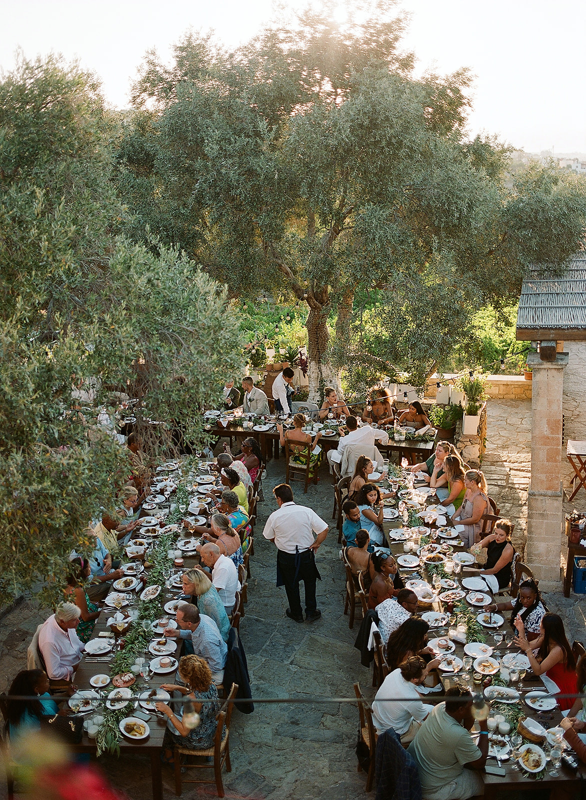 An outdoor dining event at Agreco Farms in Crete, Greece, featuring guests seated at long tables adorned with white tablecloths and fine dinnerware, surrounded by olive trees.